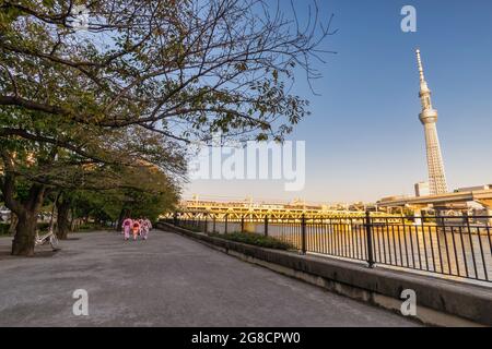 Tokio, Japan - 26. Oktober 2017 : Tokyo Japan, Skyline der Stadt am Sumida River und Sky Tree Stockfoto