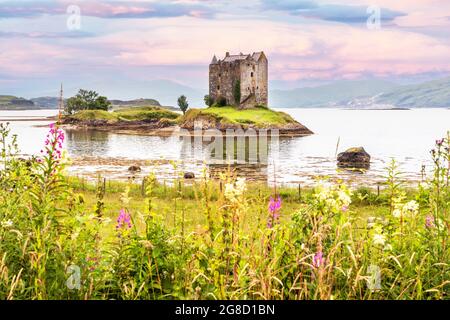 Castle Stalker, eine Seeburg auf einer kleinen felsigen Insel in Loch Laich, einem kleinen Einlass vor Loch Linnhe in der Nähe von Port Appin, Argyll, Schottland, Großbritannien Stockfoto