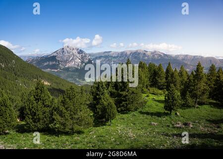 Schöne Bergkette mit einem Wald im Vordergrund an einem sonnigen Tag Stockfoto