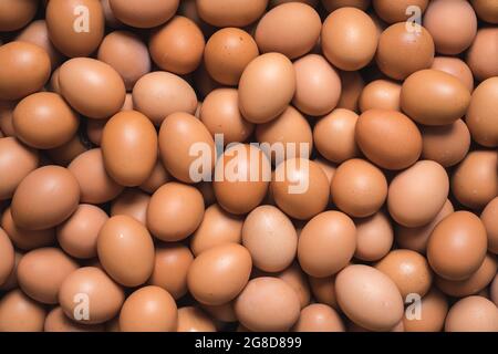 Haufen Eier; getrockneter Samen und schmackhafte Natur Stockfoto