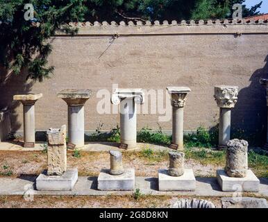 Anordnung von Säulen mit Kapitellen, die die antiken griechischen architektonischen Ordnungen darstellen: Doric, Ionic, Aeolic, Corinthian, Greece, Europa, Stockfoto