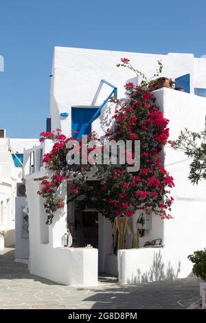 Insel Folegandros, Griechenland. Griechische Dorfszene. Bougainvillea am Eingang ein typisches Haus in der charmanten Altstadt. Vertikale Aufnahme mit Kopierbereich. Stockfoto