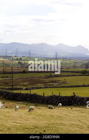 Llyn Peninsula, Wales. Berglandschaft. Vertikale Aufnahme von Feldern und Bergen. Speicherplatz kopieren. Stockfoto