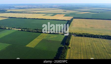Luftdrohnenflug über verschiedene landwirtschaftliche Felder gesät Stockfoto