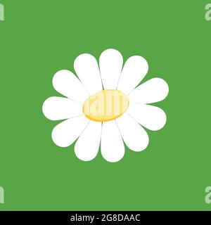 Vektorbild eines Kamillensymbols auf grünem Hintergrund. Stock Vektor