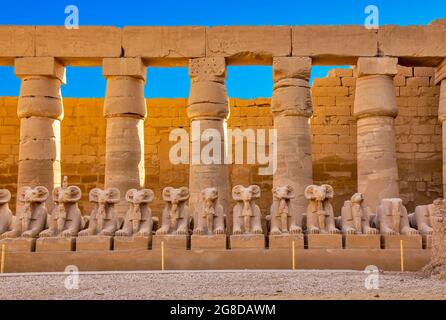 Die stampfköpfigen Sphinxe in dem so genannten äthiopischen Gericht, Karnak, Ägypten Stockfoto