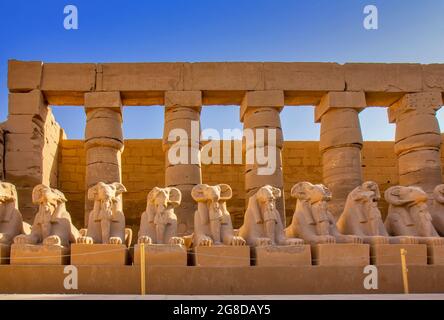 Die stampfköpfigen Sphinxe in dem so genannten äthiopischen Gericht, Karnak, Ägypten Stockfoto