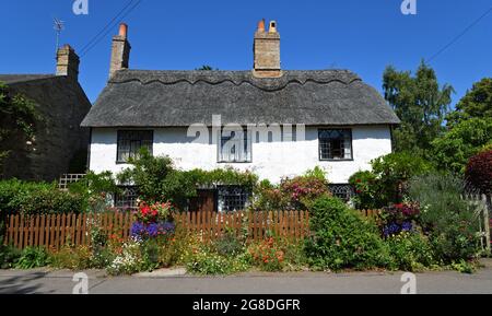 HEMMINGFORD ÄBTE, CAMBRIDGESHIRE, ENGLAND - 17. JULI 2021: Schönes altes Reethaus mit traditionellen Fenstern und farbenfrohem Cottage-Garten Stockfoto