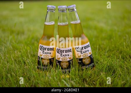 UFA, RUSSLAND -13. Juni 2021: Corona Extra, eines der meistverkauften Biere weltweit, ist ein blasses Lager, das von Cerveceria Modelo in Mexiko hergestellt wird Stockfoto