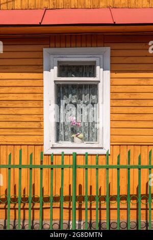 Nahaufnahme eines alten, traditionellen Bauernhauses aus Holz (Wand, Dach und Fenster). Grüner Zaun im Vordergrund. Roztocze, Polen. Stockfoto