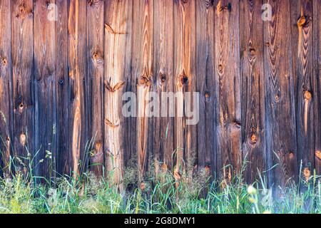 Alte, verwitterte, schöne Holzbretter. Grünes, frisches Gras im Vordergrund. Textureffekt. Stockfoto