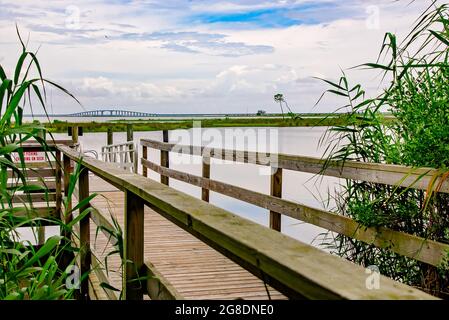 Die Dauphin Island Bridge ist aus dem Blue Heron Park, 7. Juli 2021, in Dauphin Island, Alabama, abgebildet. Stockfoto