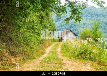 Verlassene Blockhütte auf einem Berg in Serbien. Stockfoto