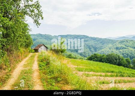 Verlassene Blockhütte auf einem Berg in Serbien. Stockfoto