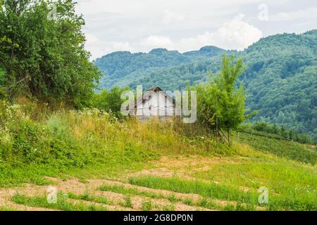 Verlassene Blockhütte auf einem Berg in Serbien. Stockfoto