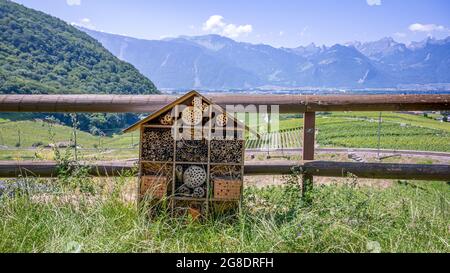Insektenhaus aus Holz im Garten. Insektenhotel in natürlicher Umgebung. Insektenhotel in der Schweiz. Ruhige Szene.