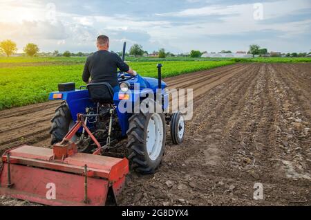 Ein Landwirt auf einem Traktor schaut auf das Feld des Bauern. Arbeiten Sie auf der Plantage und bereiten Sie den Boden für die anschließende Pflanzung mit neuen Kulturen vor. Landanbau Stockfoto