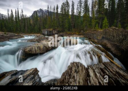 Natürlicher Brückenfluss in British Columbia, KANADA Stockfoto