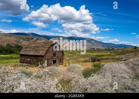 Historisches Haynes Ranch Bauernhaus in Osoyoos im Okanagan Valley, British Columbia, Kanada. Stockfoto