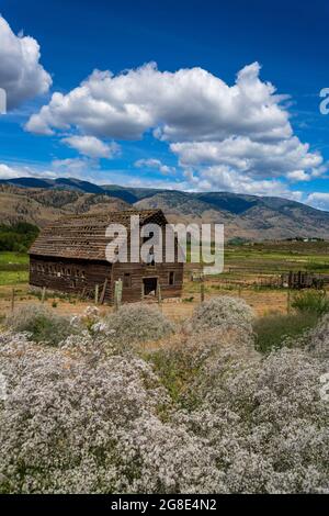 Historisches Haynes Ranch Bauernhaus in Osoyoos im Okanagan Valley, British Columbia, Kanada. Stockfoto