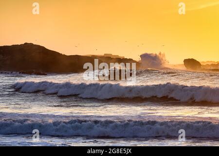 Fischerboot mit Möwen in der Brandung, Sonnenuntergang über Mogador Island, Atlantikküste, Essaouira, Marrakesch-Safi, Marokko Stockfoto
