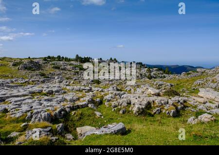 La Pierre Saint-Martin, Zentralpyrenäen, Departement Pyrenees-Atlantiques. Region Nouvelle-Aquitaine, Pays Basque, Baskenland, Frankreich Stockfoto