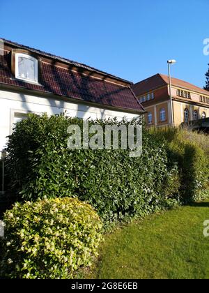 Schöner Garten vor den Häusern Stockfoto