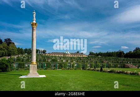 Schloss Sanssouci mit dem typischen Weinberg in Potsdam, Brandenburg, Deutschland Stockfoto