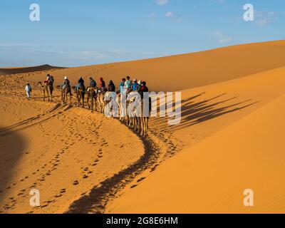 Touristen fahren auf Dromedary (Camelus dromedarius), Karawane durch Sanddünen in der Wüste, Erg Chebbi, Merzouga, Sahara, Marokko Stockfoto