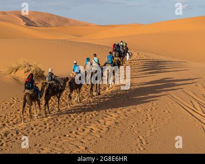 Touristen fahren auf Dromedary (Camelus dromedarius), Karawane durch Sanddünen in der Wüste, Erg Chebbi, Merzouga, Sahara, Marokko Stockfoto