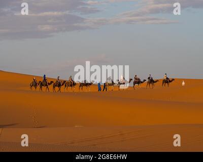 Touristen fahren auf Dromedary (Camelus dromedarius), Karawane durch Sanddünen in der Wüste, Erg Chebbi, Merzouga, Sahara, Marokko Stockfoto