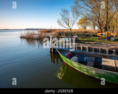 Kleiner Fischerhafen am Peenestrom, Lieper Winkel, Insel Usedom, Mecklenburg-Vorpommern, Deutschland Stockfoto