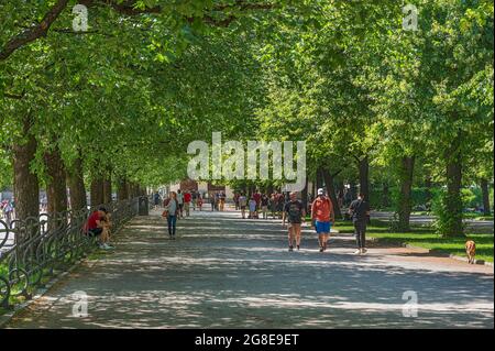 Linden (Tilia) Avenue im Hofgarten, München, Oberbayern, Bayern, Deutschland Stockfoto