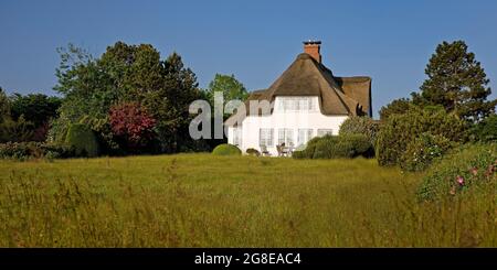 Reetdachhaus, friesisches Haus, Nebel, Amrum Island, Nordsee, Nordfriesland, Schleswig-Holstein, Deutschland Stockfoto