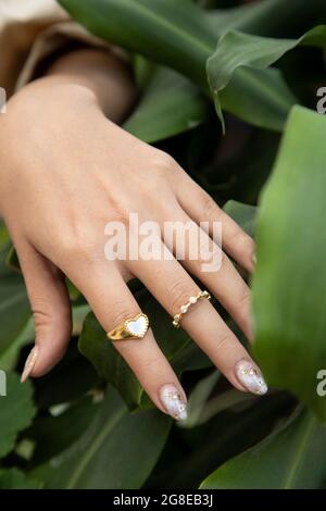 Hand einer Person, die goldene Ringe trägt, modernen Schmuck auf dem Hintergrund verschiedene Blätter, Natur und Mode im Studio Stockfoto
