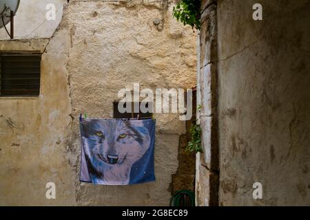 Ein Handtuch mit dem Bild eines Wolfes auf einer Wäscheleine in Chania, auf der Insel Kreta, Griechenland Stockfoto