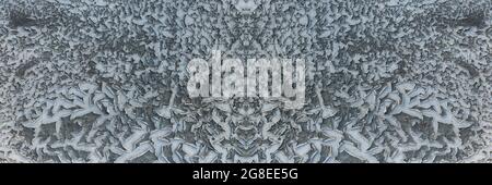 Risse und vertrocknetes Holz auf der Oberfläche eines ausgetrockneten Sees im trockenen Klima. Banneraufnahme. Rissige Oberfläche am Bett eines getrockneten Sees. Klimawandel Auswirkungen menschlicher Störungen auf die Natur. Stockfoto