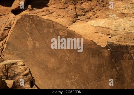 Fremont-Kulturpetroglyphen am Dinosaur National Monument auf der Utah-Seite. Diese Platte enthält eine Spirale, Dickhornschafe, Truthähne und andere Symbole. Stockfoto