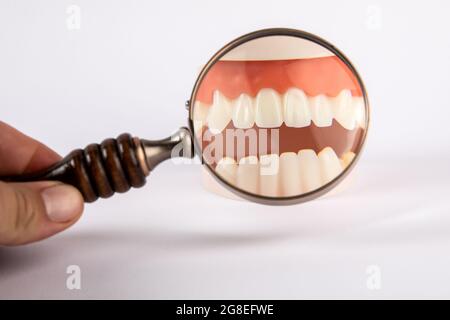Zahnärztliche Forschung mit einer Lupe auf weißem Hintergrund. Stockfoto