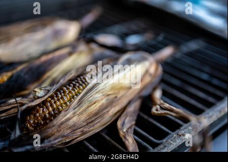 Leicht verkohlter Mais auf dem Maiskolben mit Schale auf einem Grillrost Stockfoto