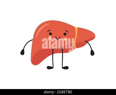 Gesund glücklich lächelnd niedlichen Leber Charakter. Vektorgrafik Stock Vektor