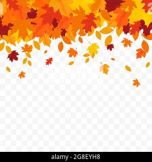 Herbst fallende Blätter isoliert auf weißem Hintergrund. Herbsthintergrund mit goldenem Ahorn und Eichenblättern. Stock Vektor