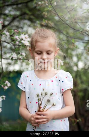 Kleines Mädchen in einem Frühlingsgarten mit weißen Dandelionen in ihren Händen Stockfoto