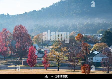 Verschiedene Schattierungen von Herbstfarben bei einem nebligen Start in den Tag in einer kleinen australischen Kleinstadt Stockfoto