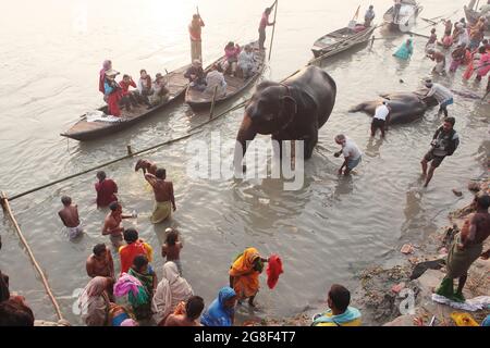 Elefanten werden auf der Sonpur Fair, der größten Tierverkaufmesse Asiens, im Fluss Ganda gebadet und gereinigt. Die Messe ist mehr als tausend Jahre alt. Stockfoto