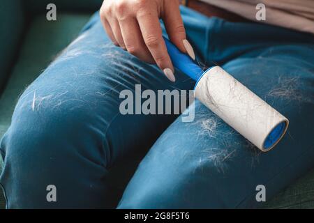 Frau, die Kleidung mit Haftwalze von Katzenhaaren reinigt.Cleanin Stockfoto