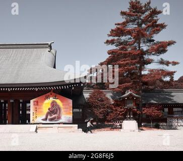 KASHIHARA, JAPAN - 24. AUGUST 2016: Japanische Frau, die mit einem Regenschirm in der Nähe des Kashihara-Schreins läuft Stockfoto