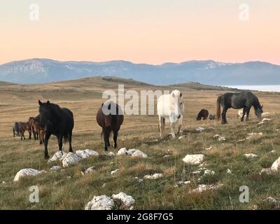 Wandertag auf dem Cincar Mountain Stockfoto