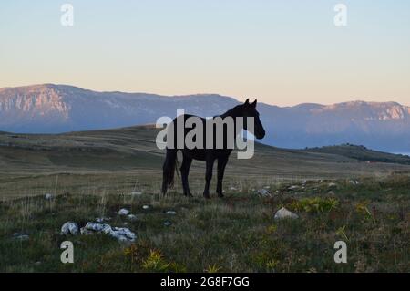 Wandertag auf dem Cincar Mountain Stockfoto