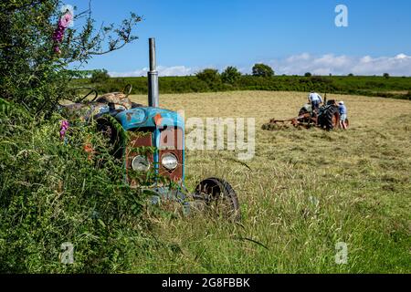 Fordson Super-Major-Traktor, Heudrehen mit altem Traktor, Fordston-Traktor, Fordson Stockfoto